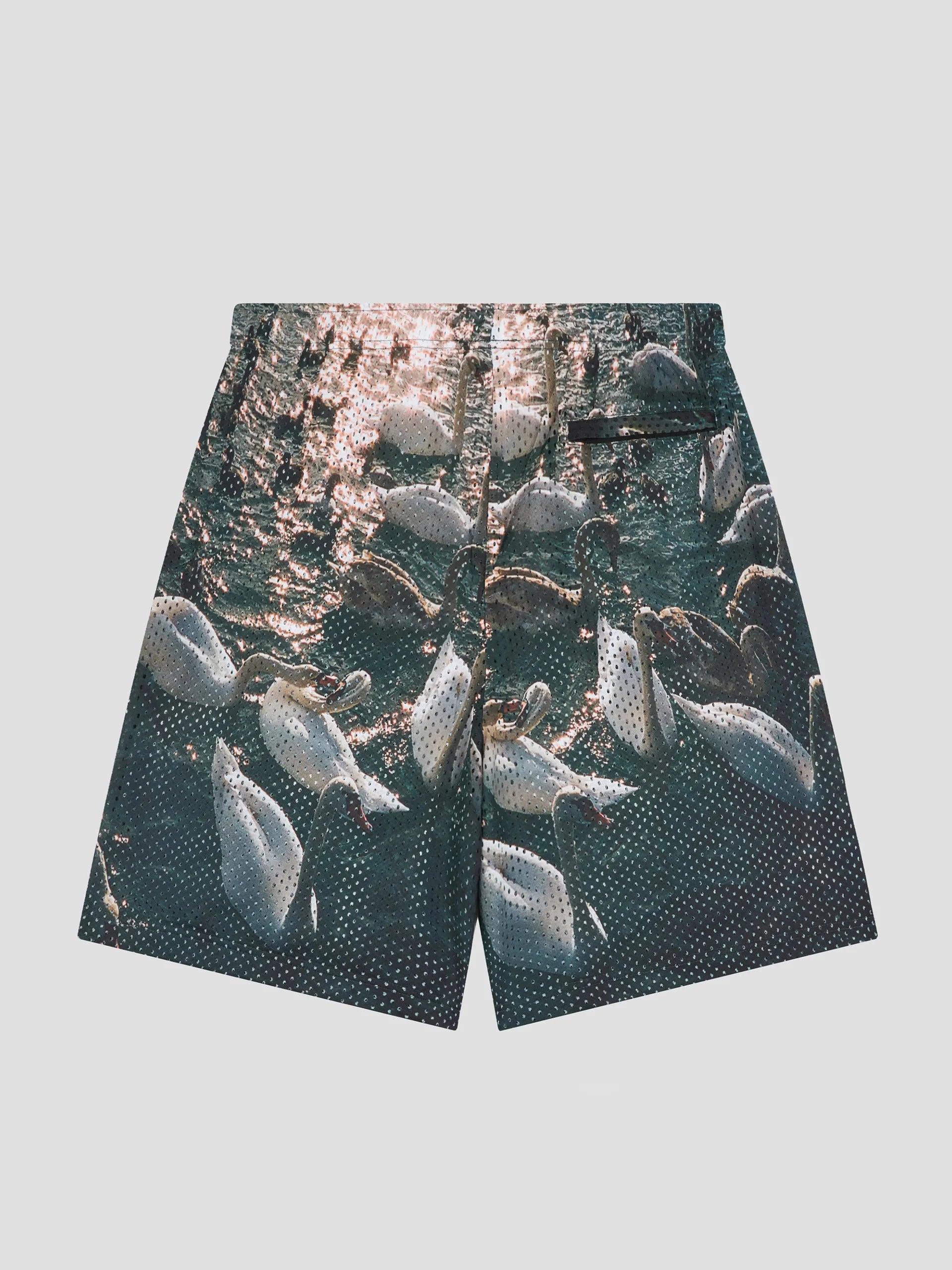 Men Swan Mesh Shorts Woven