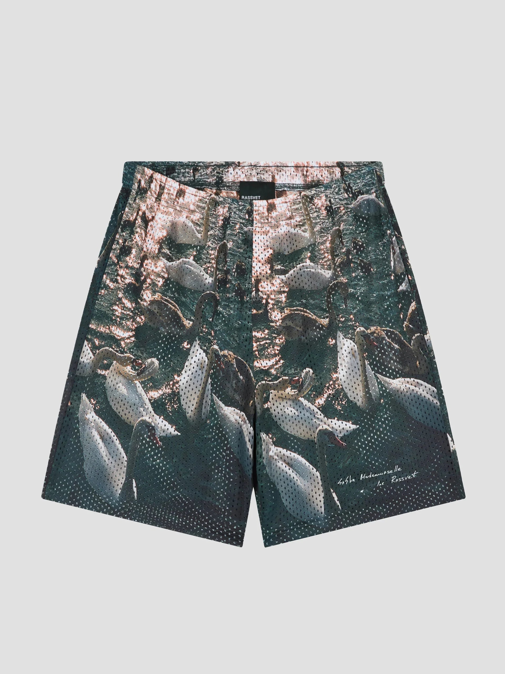 Men Swan Mesh Shorts Woven