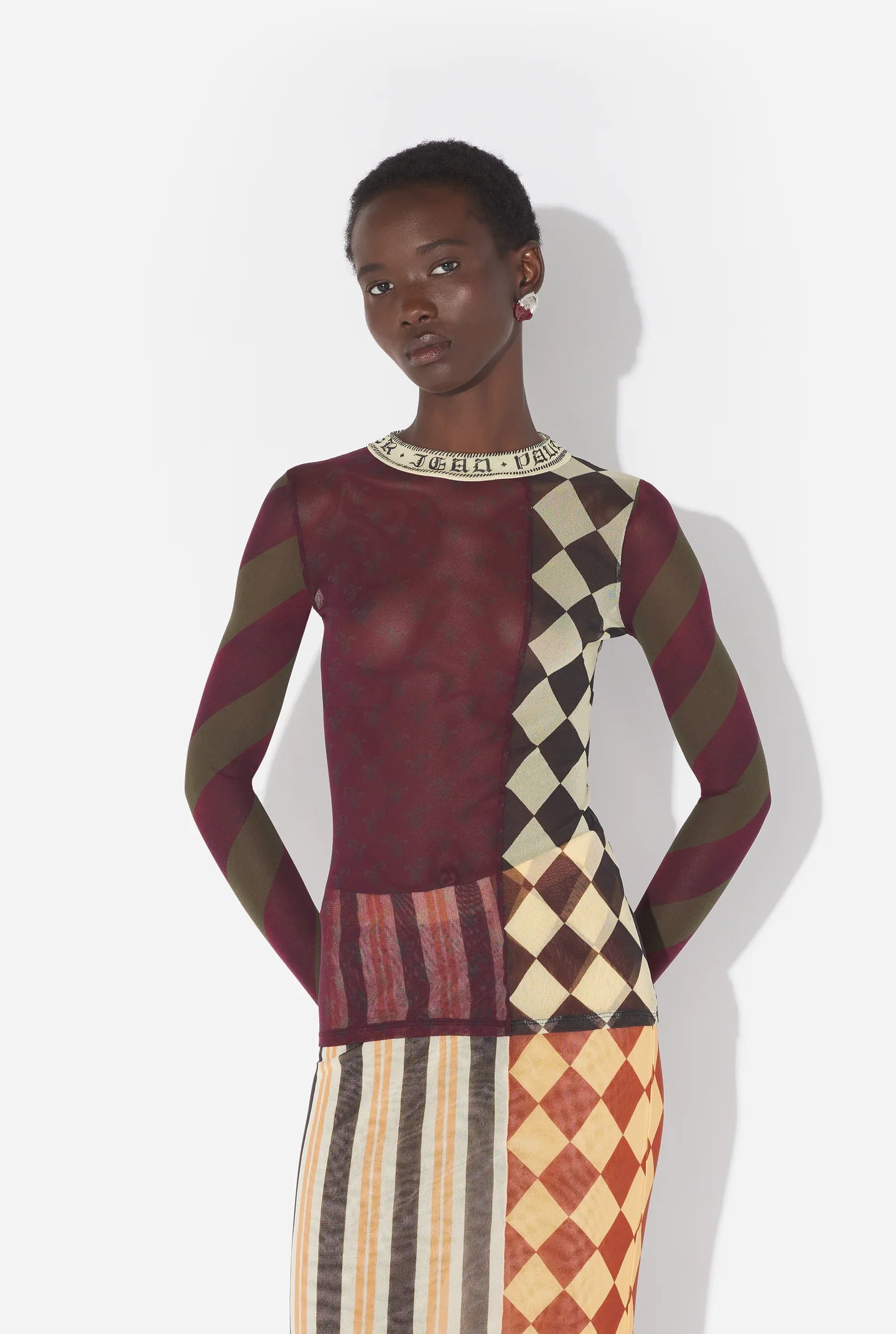 Mesh Long Sleeves Top With Patchworks In Printed Mesh